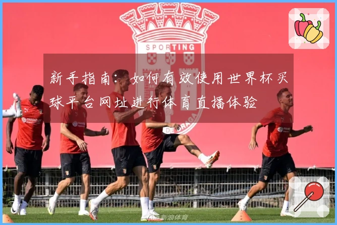 新手指南：如何有效使用世界杯买球平台网址进行体育直播体验