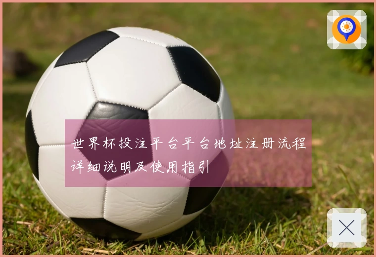 世界杯投注平台平台地址注册流程详细说明及使用指引