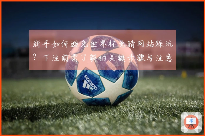 新手如何避免世界杯竞猜网站踩坑？下注前需了解的关键步骤与注意事项