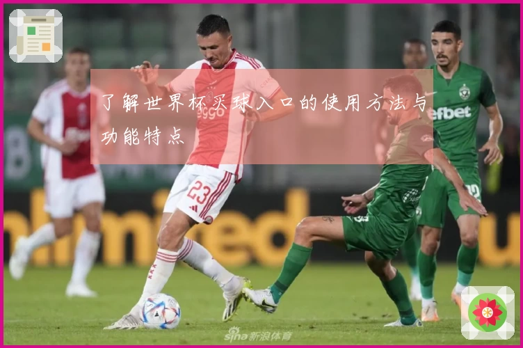 了解世界杯买球入口的使用方法与功能特点