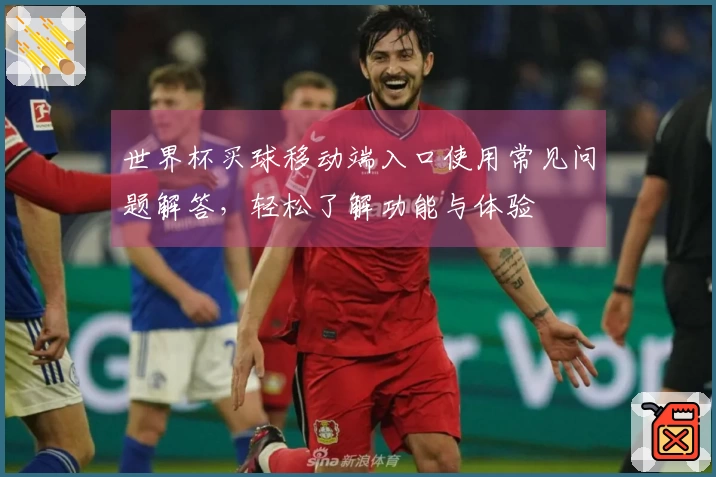 世界杯买球移动端入口使用常见问题解答，轻松了解功能与体验