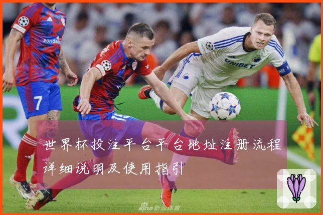 世界杯投注平台平台地址注册流程详细说明及使用指引