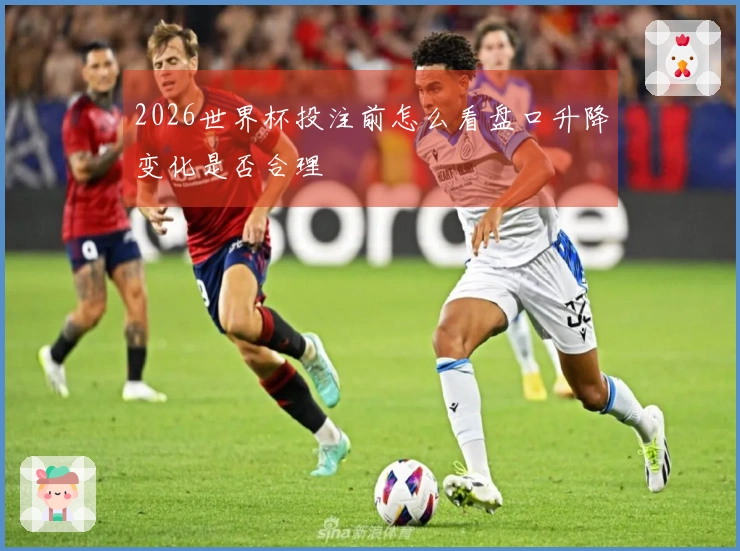 2026世界杯投注前怎么看盘口升降变化是否合理