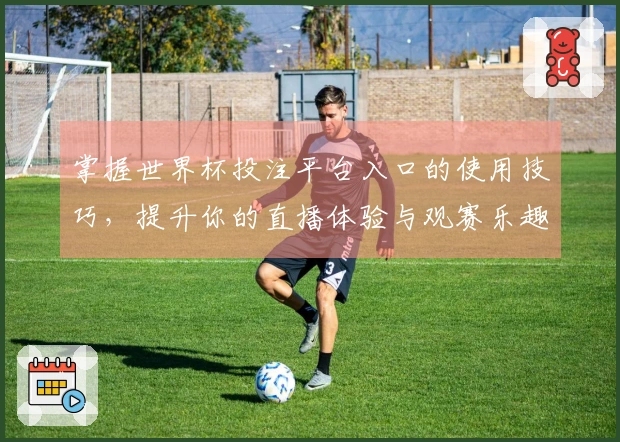 掌握世界杯投注平台入口的使用技巧，提升你的直播体验与观赛乐趣
