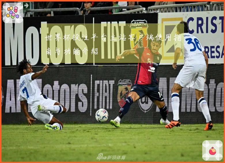 世界杯投注平台主站客户端使用指南与功能介绍