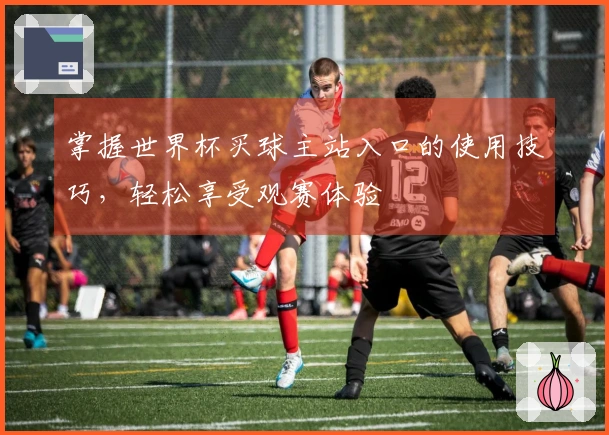 掌握世界杯买球主站入口的使用技巧，轻松享受观赛体验