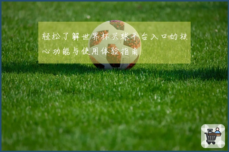 轻松了解世界杯买球平台入口的核心功能与使用体验指南