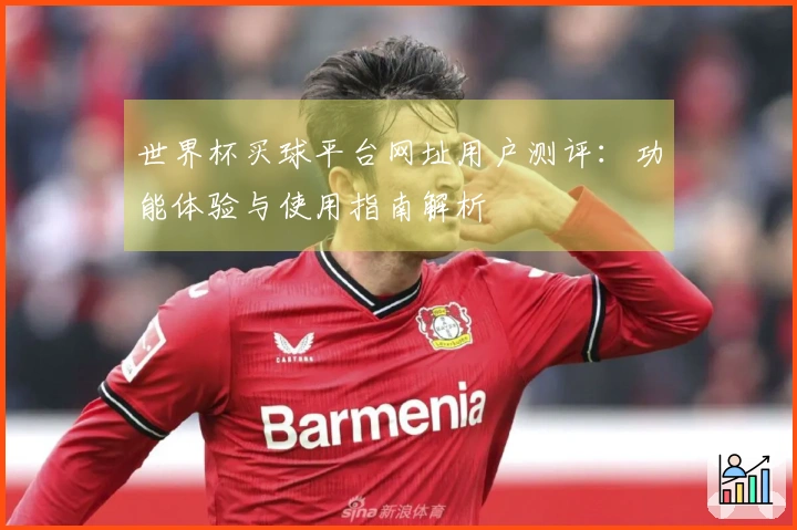 世界杯买球平台网址用户测评：功能体验与使用指南解析