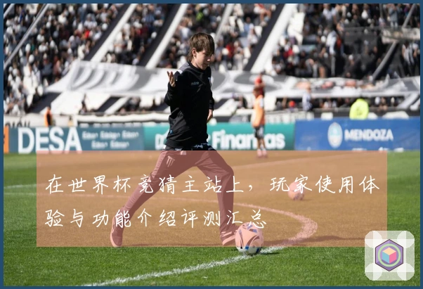 在世界杯竞猜主站上，玩家使用体验与功能介绍评测汇总
